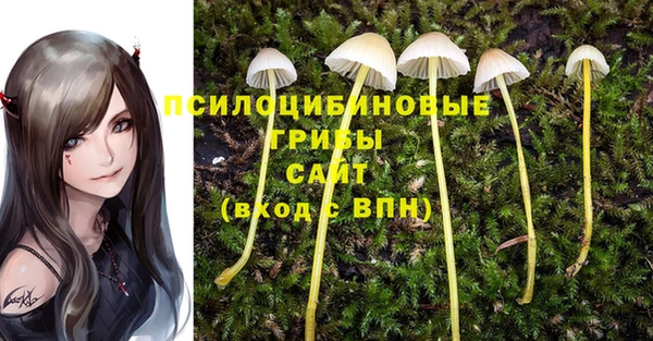 прущая мука Баксан