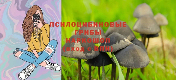 бошки Балахна